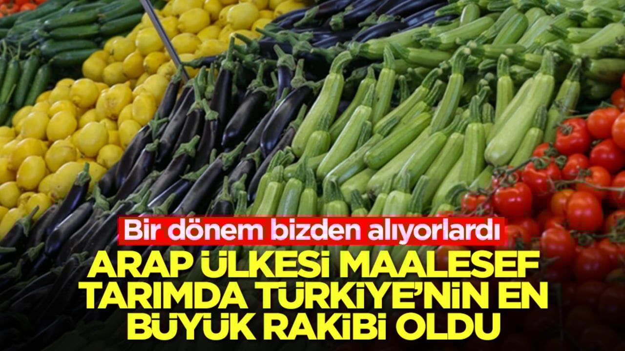 Bir dönem bizden alıyorlardı, Arap ülkesi maalesef Türkiye'nin tarımdaki en büyük rakibi oldu