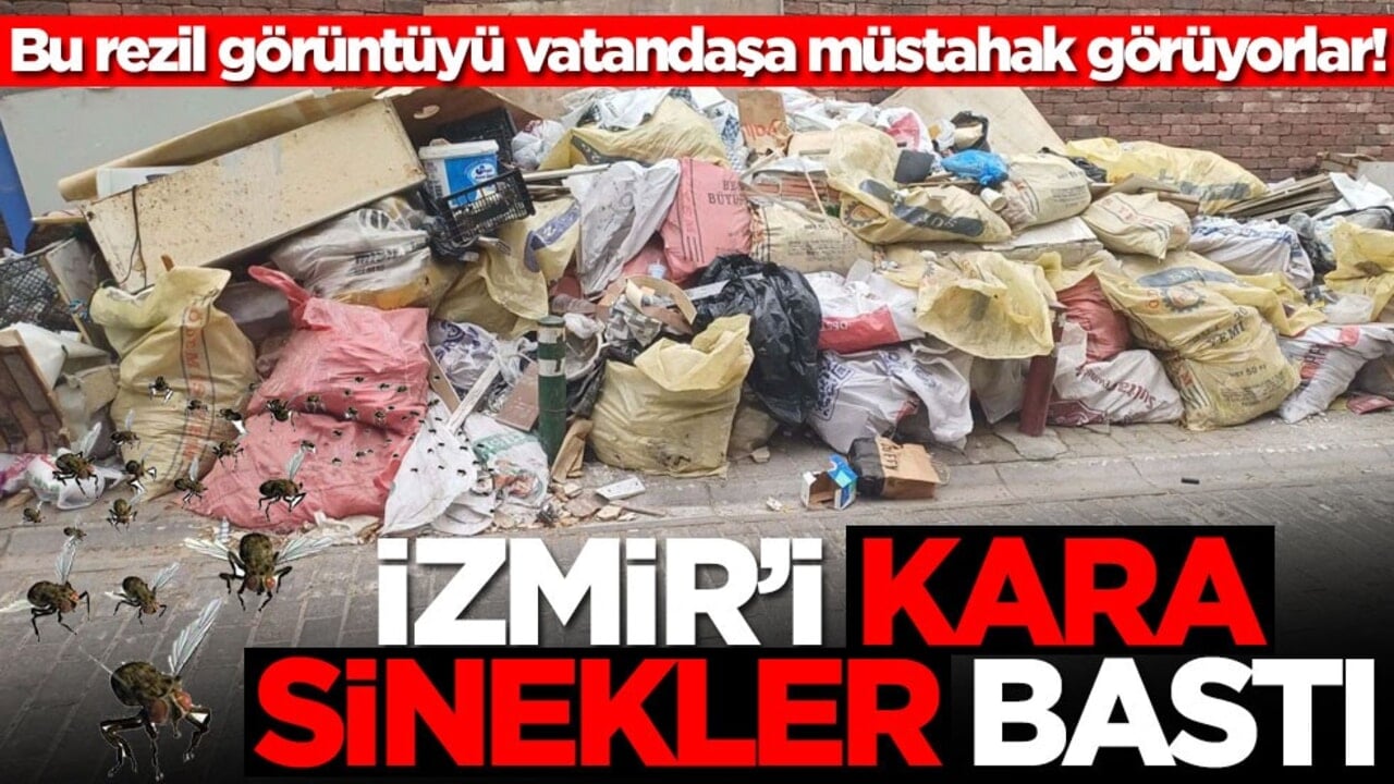 Bu rezil görüntüyü vatandaşa müstahak görüyorlar! İzmir'i kara sinekler bastı