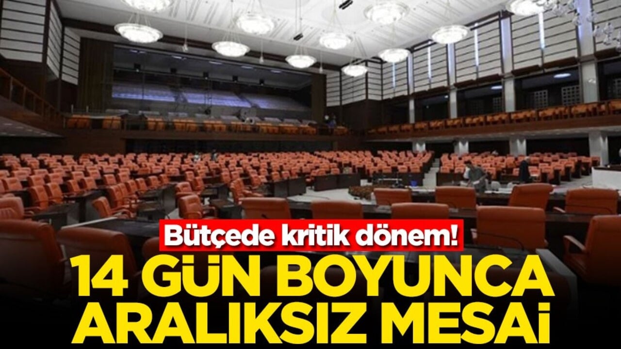 Bütçede kritik dönem! 14 gün boyunca aralıksız mesai