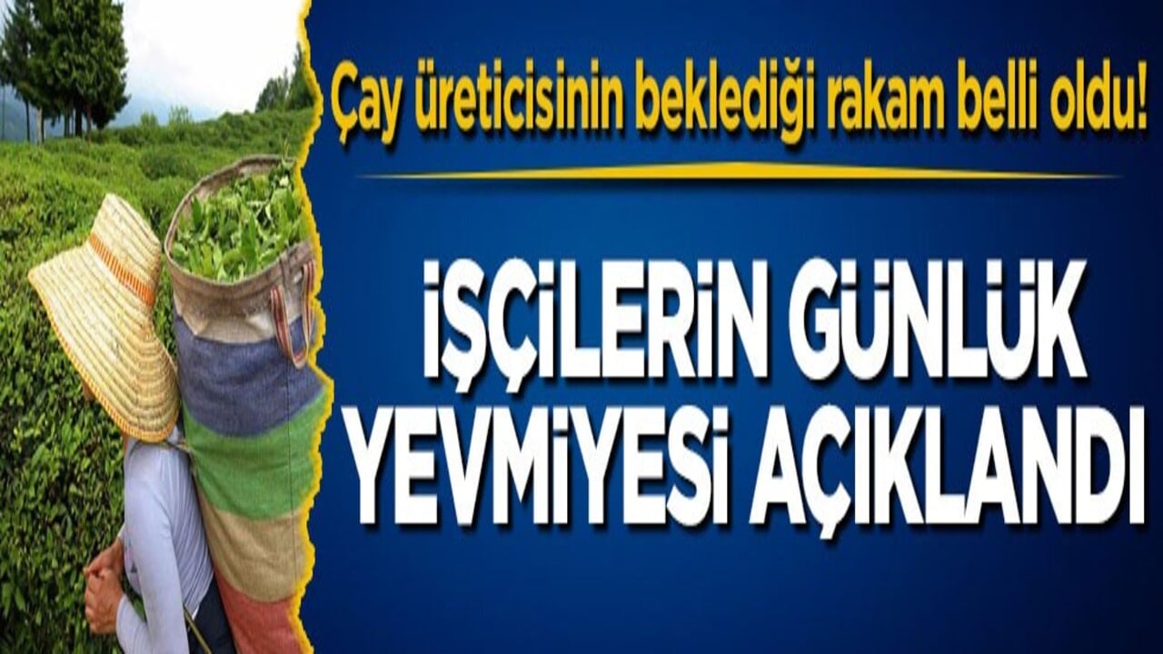 Çay üreticisinin beklediği rakam belli oldu! İşçilerin günlük yevmiyesi açıklandı