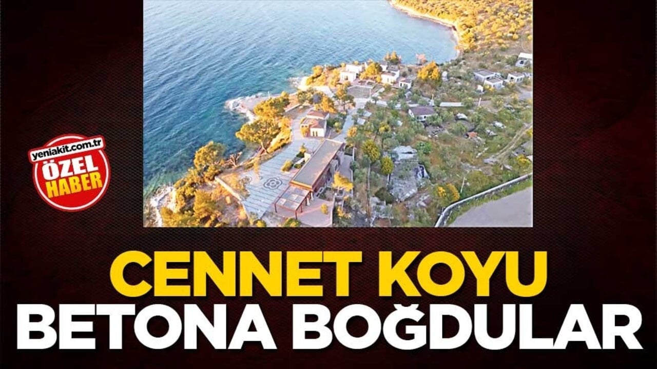 Cennet koyu betona boğdular