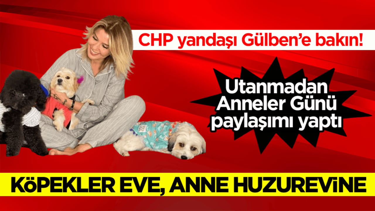 CHP yandaşı Gülben’e bakın! Köpekler eve, anne huzurevine