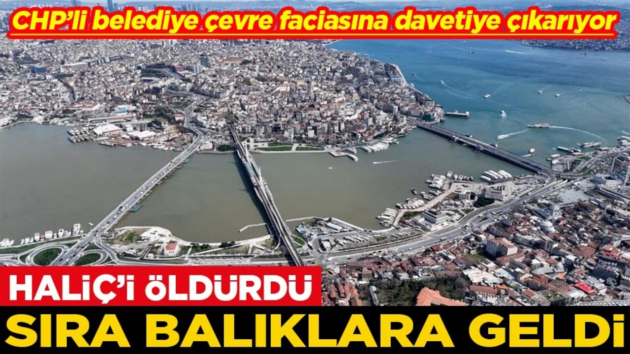 CHP’li belediye çevre faciasına davetiye çıkarıyor Haliç'i öldürdü sıra balıklara geldi