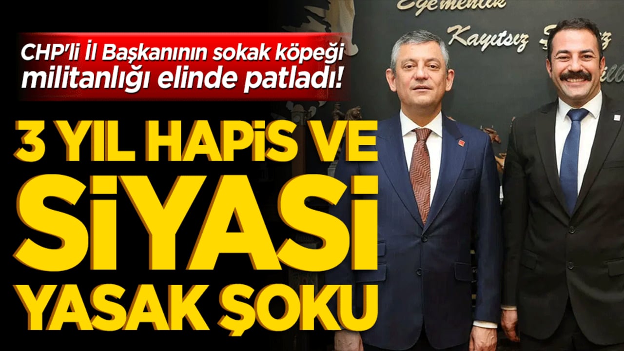CHP'li İl Başkanının sokak köpeği militanlığı paçasında patladı! Yargı 'dur' dedi: 3 yıl hapis ve siyasi yasak şoku!