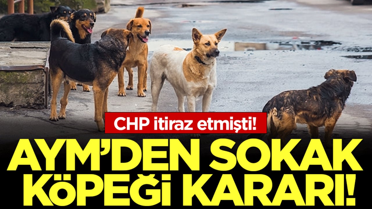 CHP'nin sokak köpekleri itirazı: AYM'den son dakika kararı!