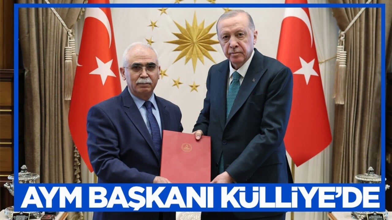 Cumhurbaşkanı Erdoğan, AYM Başkanı Özkaya'yı kabul etti