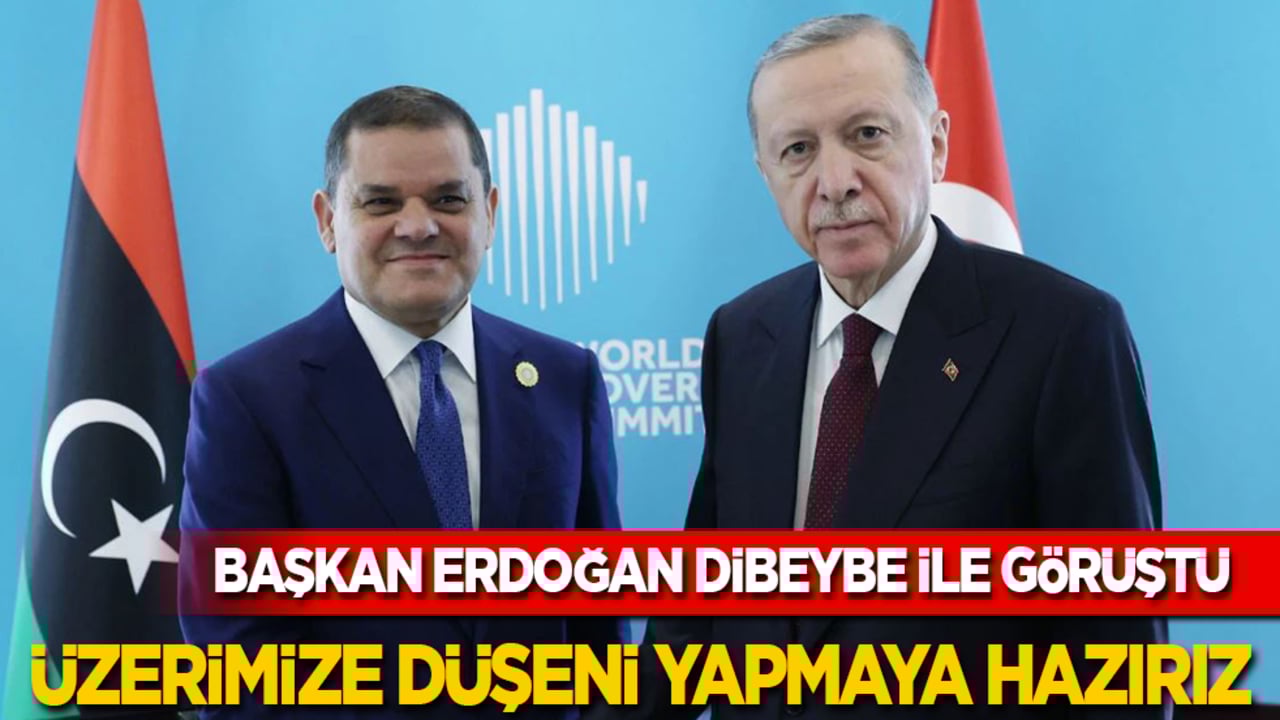 Cumhurbaşkanı Erdoğan, Dibeybe ile görüştü: Üzerimize düşeni yapmaya hazırız