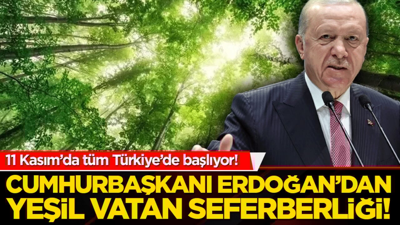 Cumhurbaşkanı Erdoğan’dan yeşil vatan seferberliği! 11 Kasım’da tüm Türkiye fidan dikmeye hazır