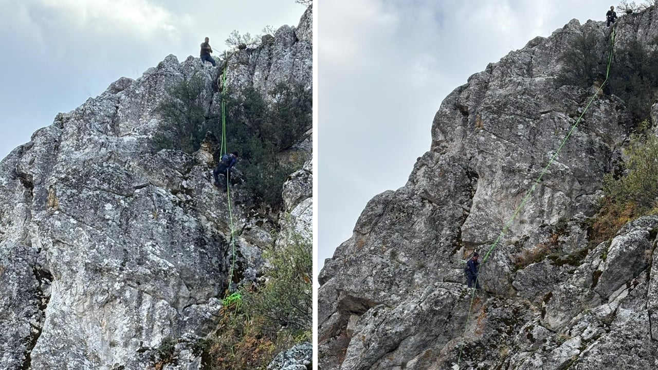 Dağ keçilerine özenen çiftlik keçilerini çıktıkları dağdan itfaiye kurtardı