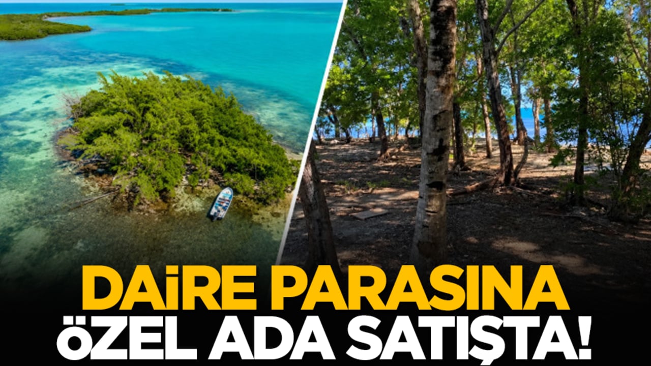 Daire parasına özel ada satışta!