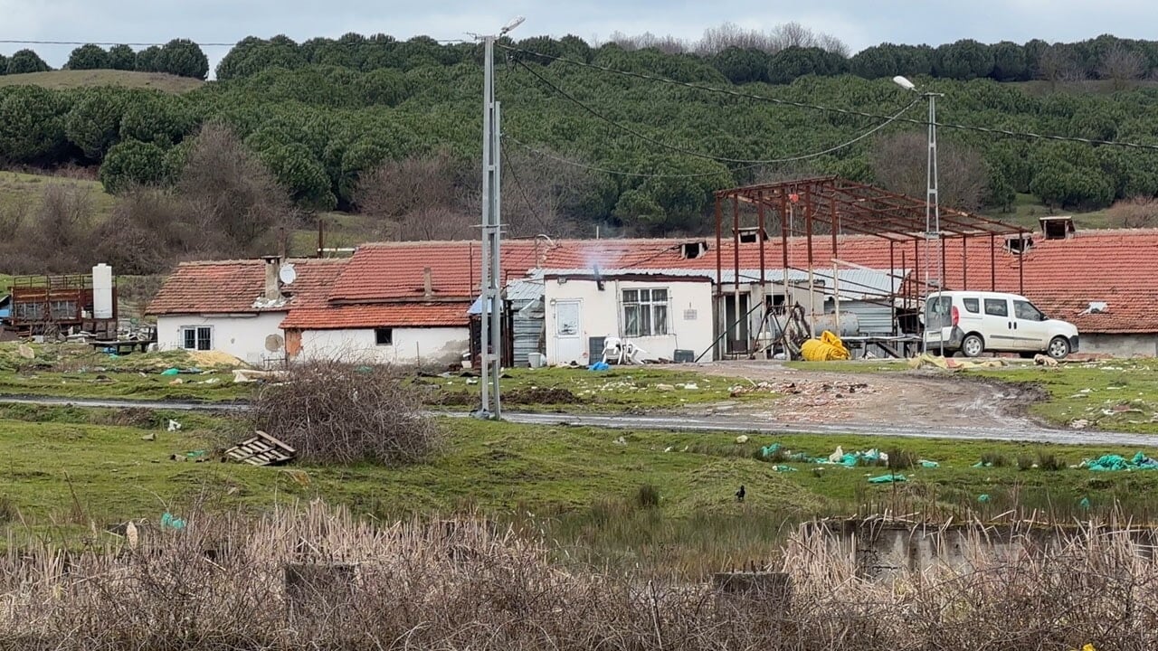 Dehşet çiftliği: Elektrikli testereyle işçisinin boynunu kesti