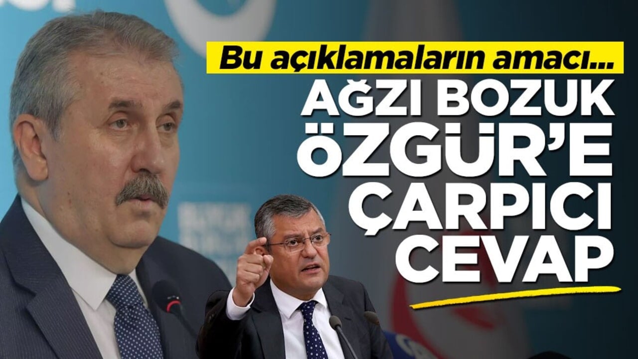 Destici'den ağzı bozuk Özgür'e tepki: Yaptığı açıklamanın amacı...
