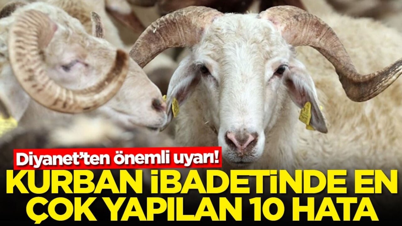 Diyanet’ten önemli uyarı: Kurban ibadetinde en çok yapılan 10 hata