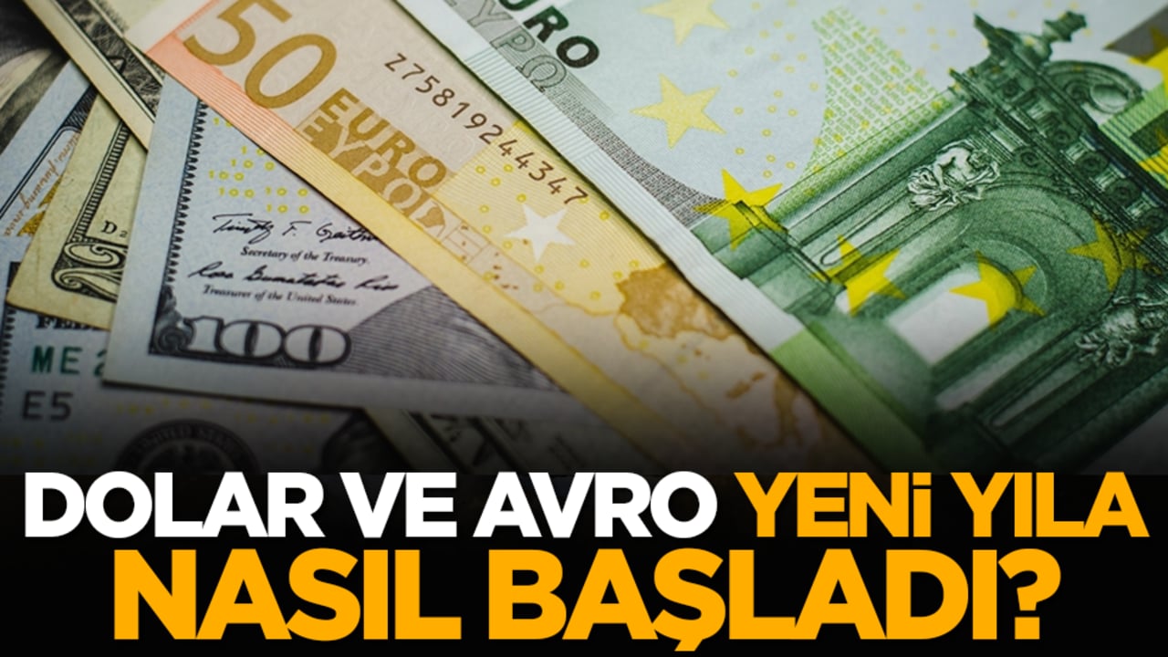 Dolar ve Avro yeni yıla nasıl başladı?