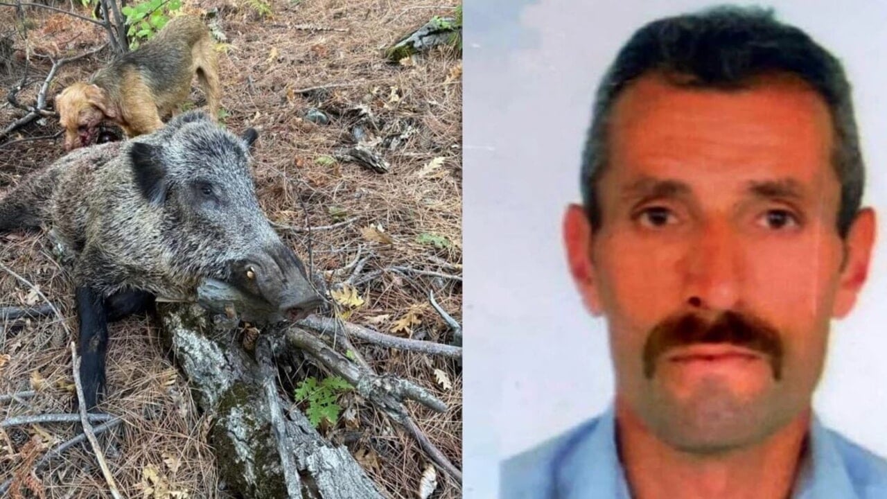 Domuz avına gitti domuz saldırısında öldü