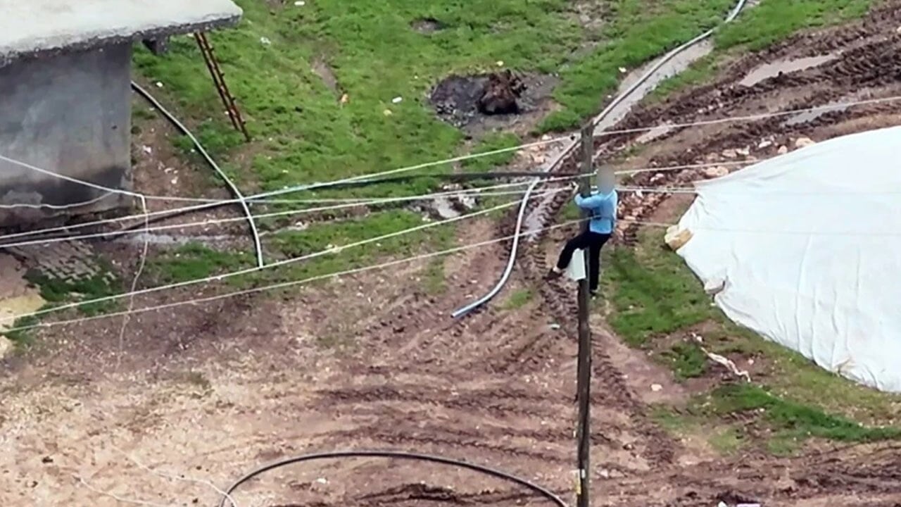 Dronu görünce direğe fırladı: Telleri tek tek kesti ama…