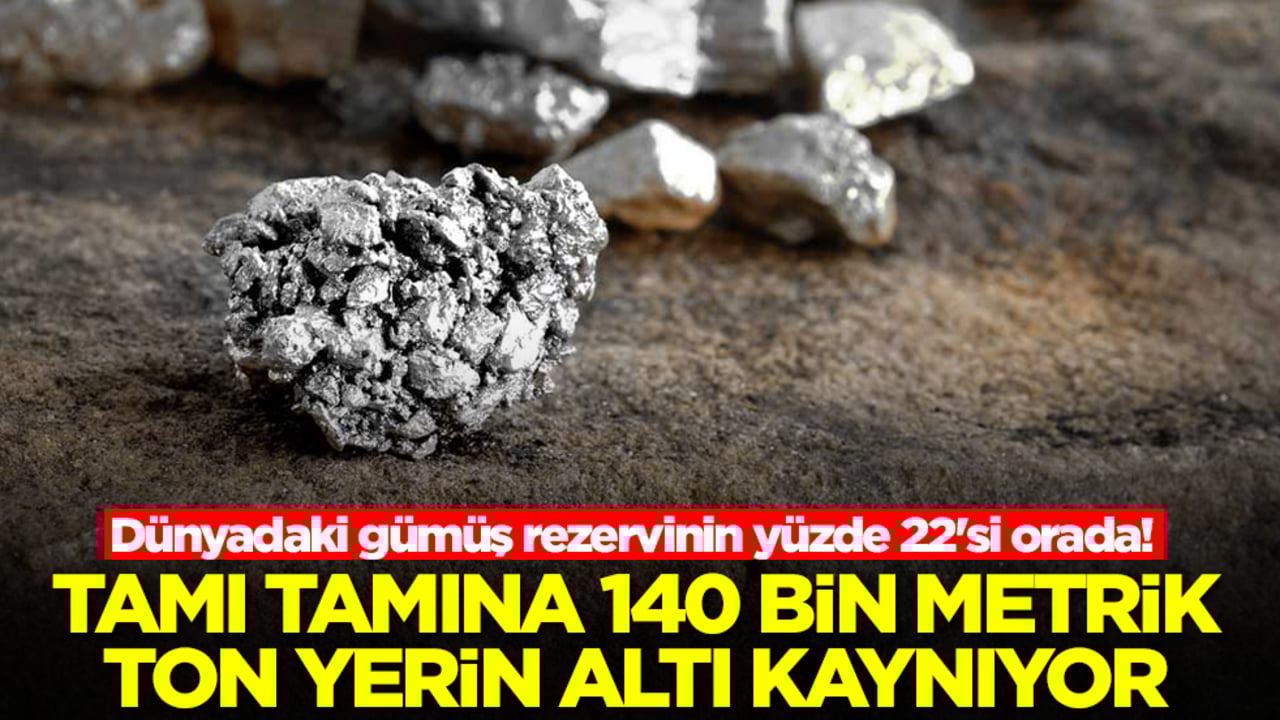 Dünyadaki gümüş rezervinin yüzde 22'si orada! Tamı tamına 140 bin metrik ton, yerin altı kaynıyor