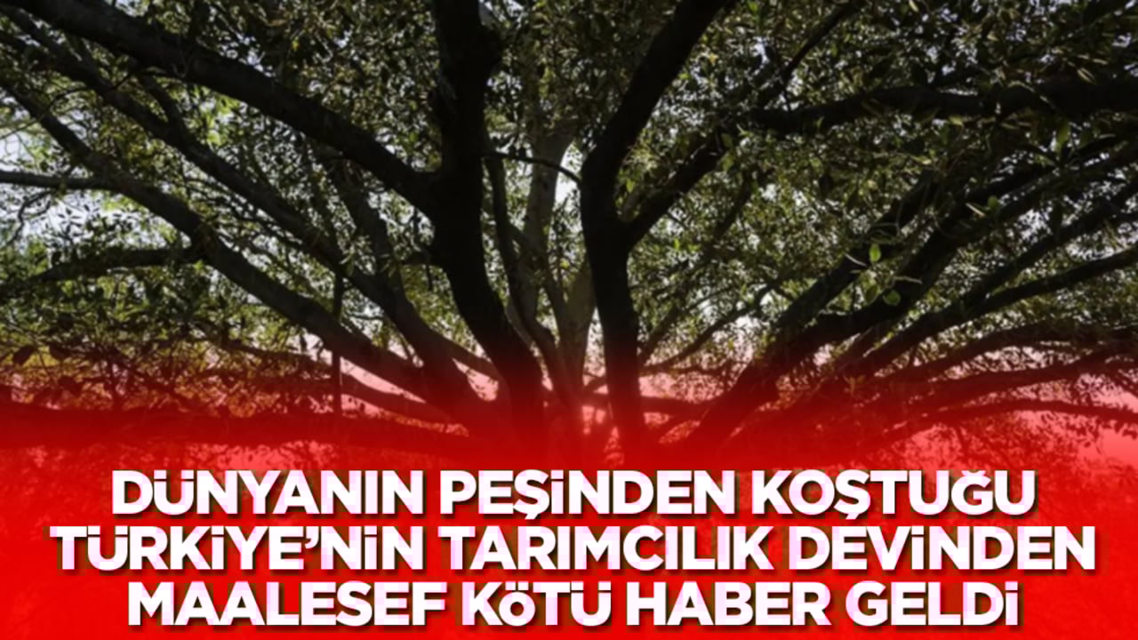 Dünyanın peşine düştüğü Türkiye'nin tarım devinden kötü haber maalesef geldi