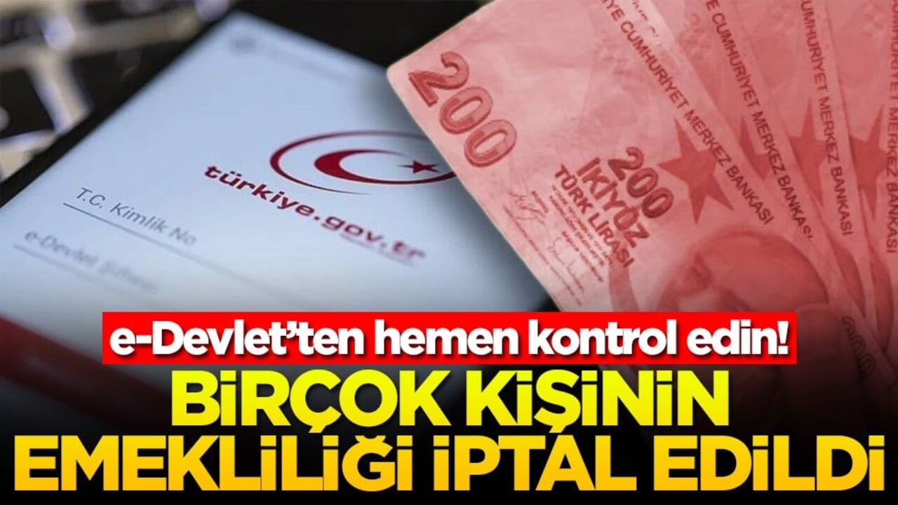 e-Devlet’ten hemen kontrol edin! Birçok kişinin emekliliği iptal edildi