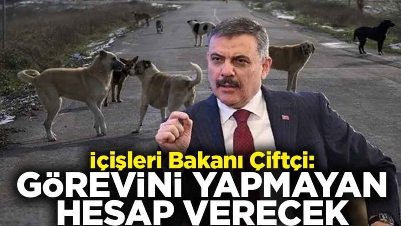 "Ekim ayına kadar başıboş köpek sorununu çözeceğiz" İçişleri Bakanı Çiftçi: Görevini yapmayan hesap verecek