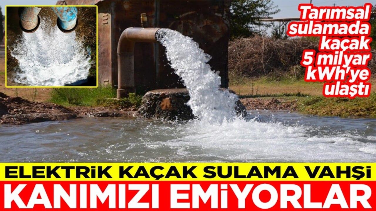 Elektrik kaçak sulama vahşi Kanımızı emiyorlar
