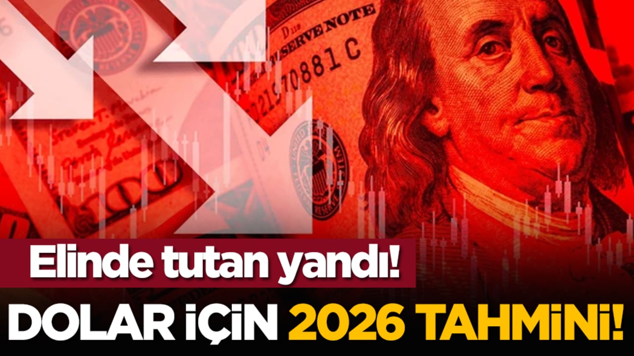 Elinde tutan yandı! Dolar için 2026 tahmini!