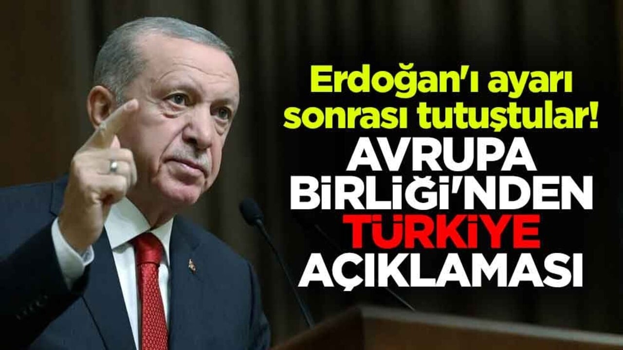 Erdoğan'ı ayarı sonrası tutuştular! Avrupa Birliği'nden Türkiye açıklaması