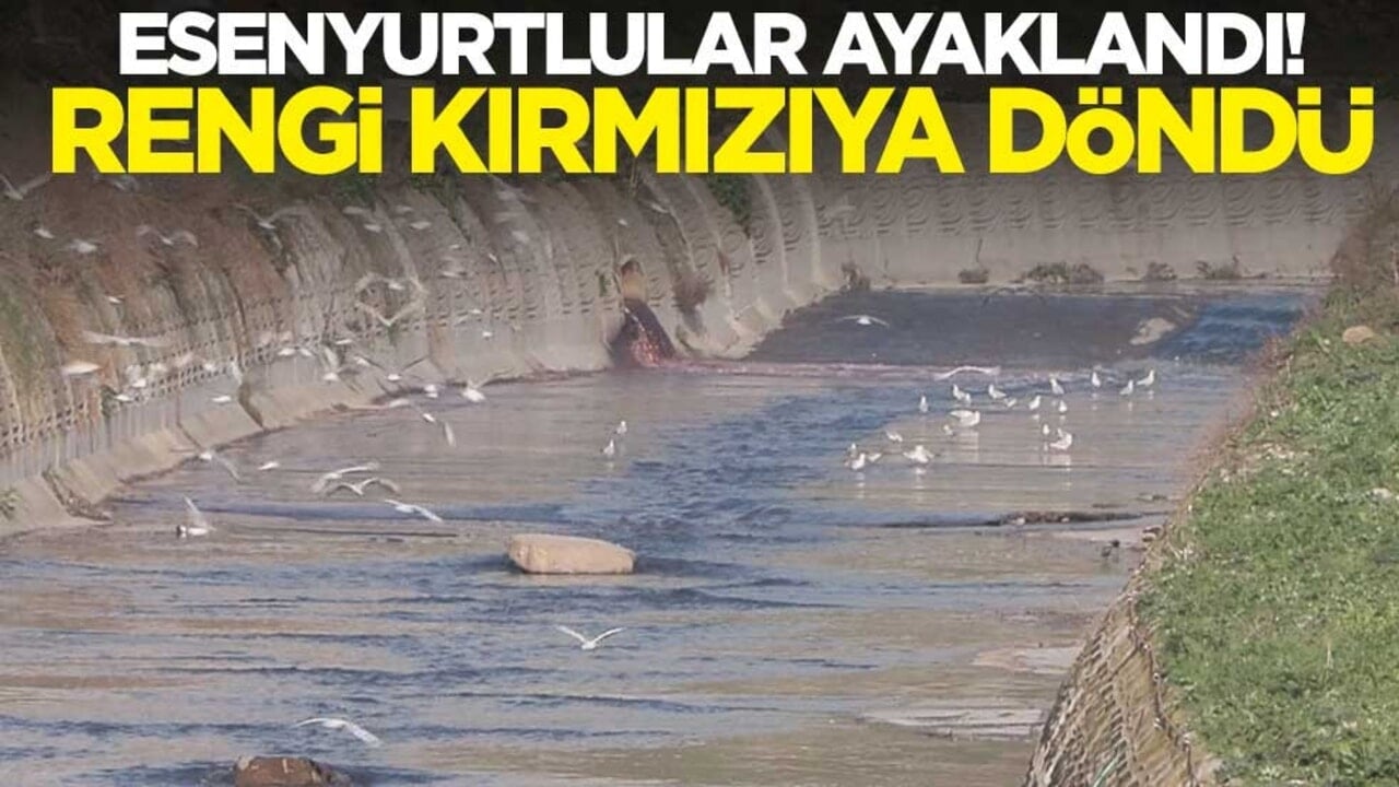 Esenyurtlular ayaklandı! Haramidere'nin rengi kırmızıya döndü