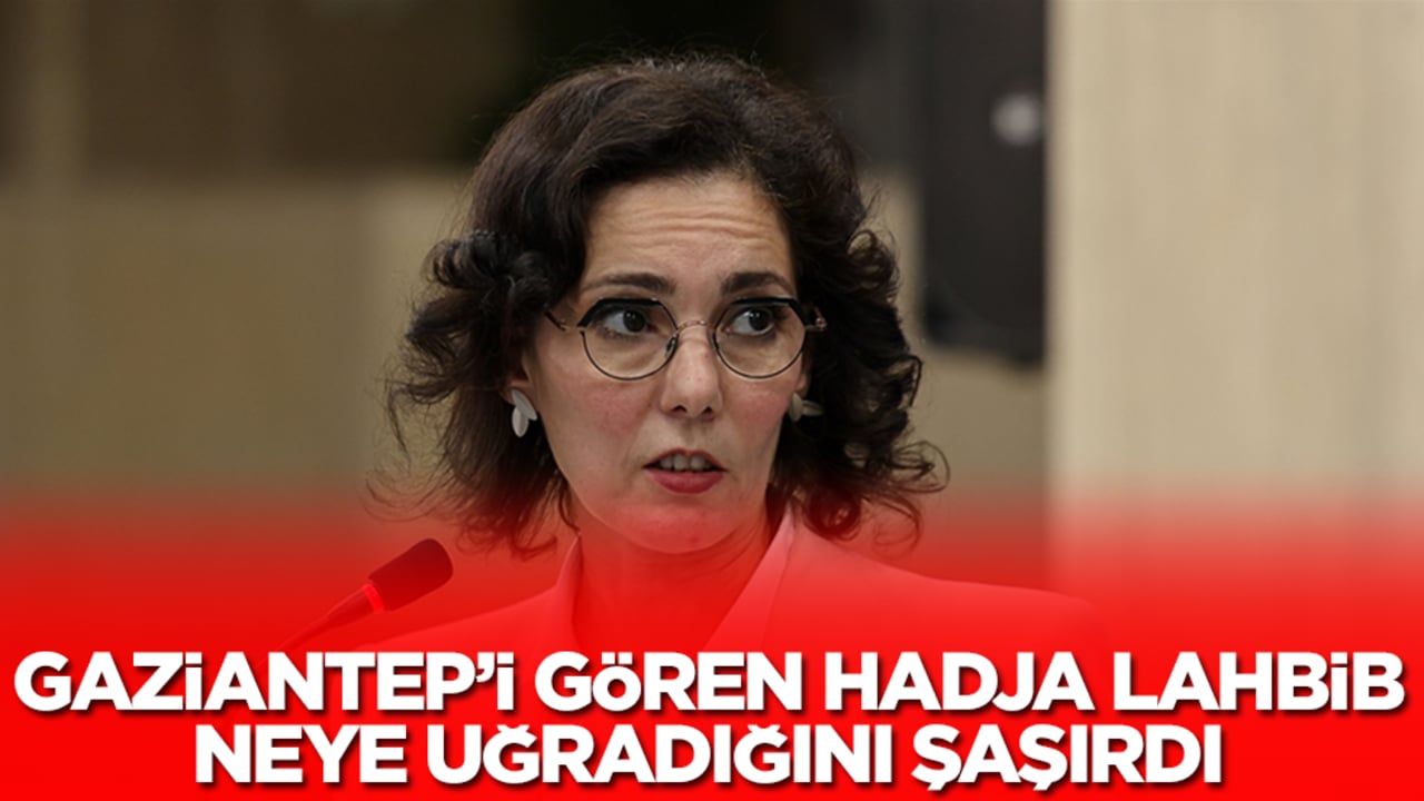 Gaziantep'i gören Hadja Lahbib neye uğradığını şaşırdı