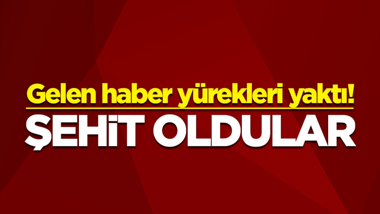 Gelen haber yürekleri yaktı! Şehit oldular