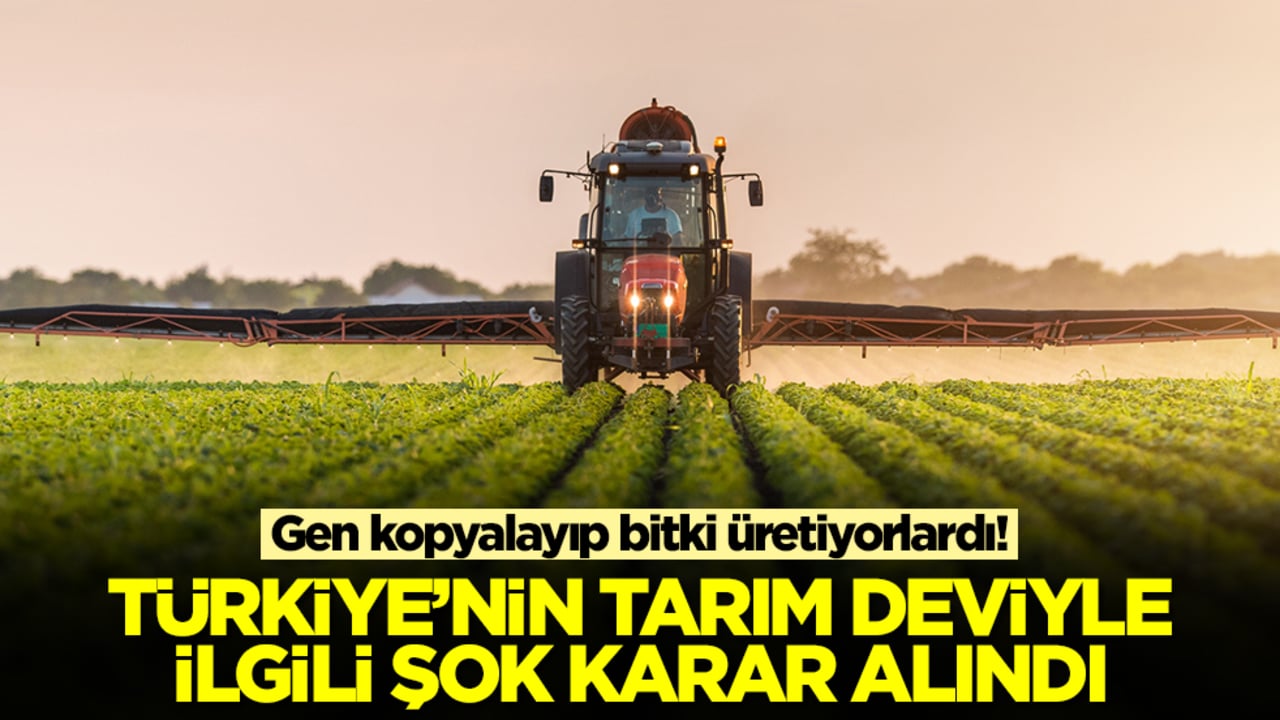 Gen kopyalayıp bitki üretiyorlardı! Türkiye'nin tarım deviyle ilgili şok karar alındı