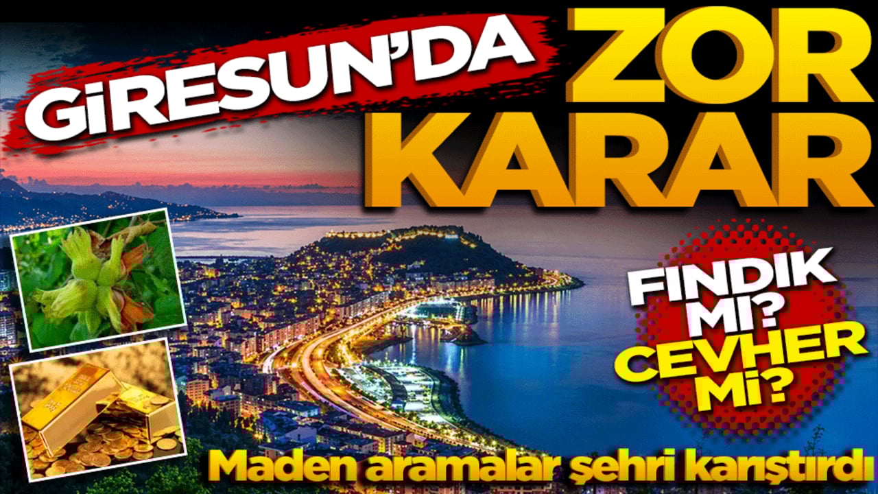Giresun’da zor karar: Fındık mı, cevher mi? Maden aramalar şehri karıştırdı