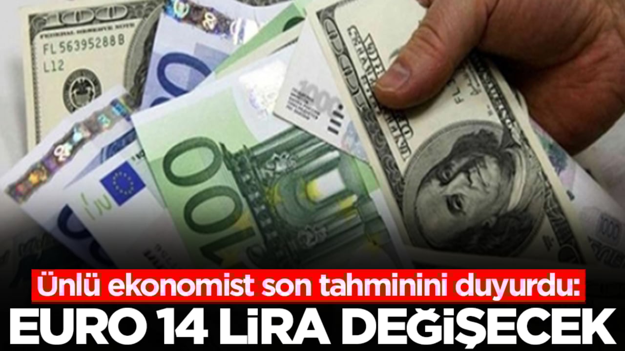 Gündeme oturan çıkış: Euro 14 lira değişecek