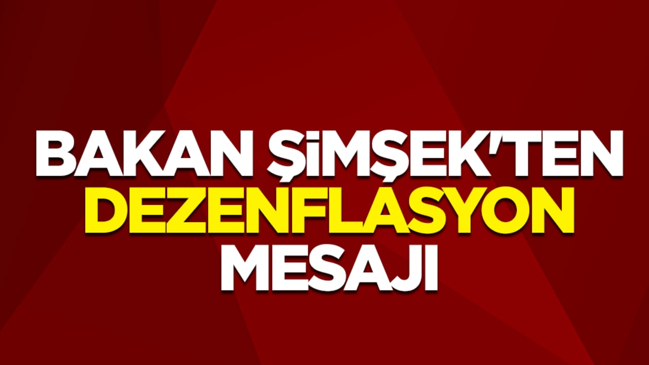 Hazine ve Maliye Bakanı Mehmet Şimşek'ten dezenflasyon mesajı