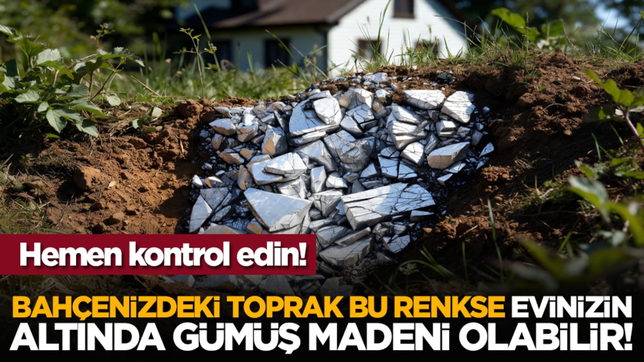 Hemen kontrol edin! Bahçenizdeki toprak bu renkse evinizin altında gümüş madeni olabilir!