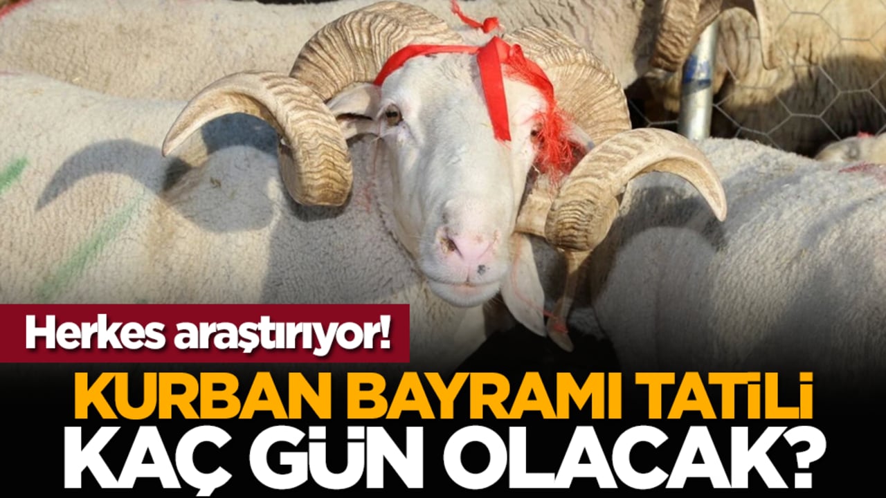 Herkes araştırıyor! Kurban Bayramı tatili kaç gün olacak?