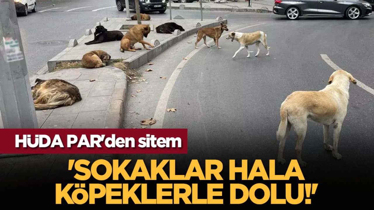HÜDA PAR'den sitem: 'Sokaklar hala köpeklerle dolu!'