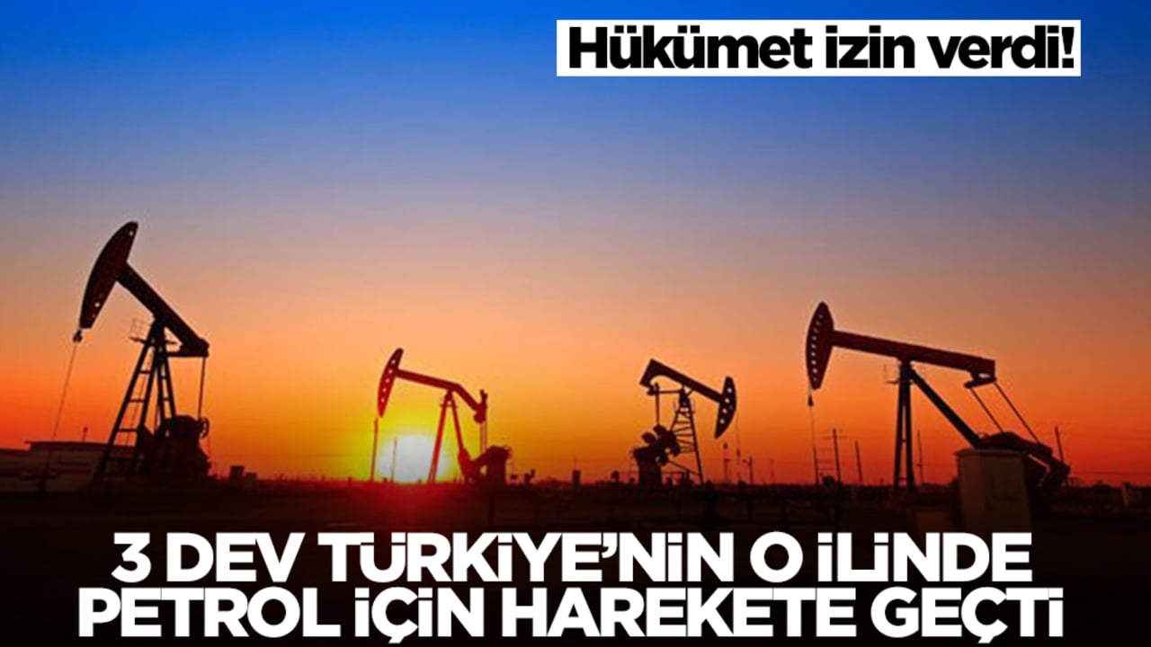 Hükümet izin verdi! 3 dev Türkiye'nin o ilinde petrol için harekete geçti