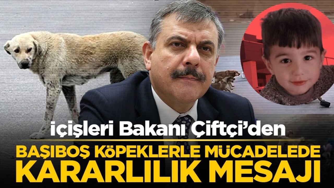 İçişleri Bakanı Çiftçi’den başıboş köpeklerle mücadelede kararlılık mesajı