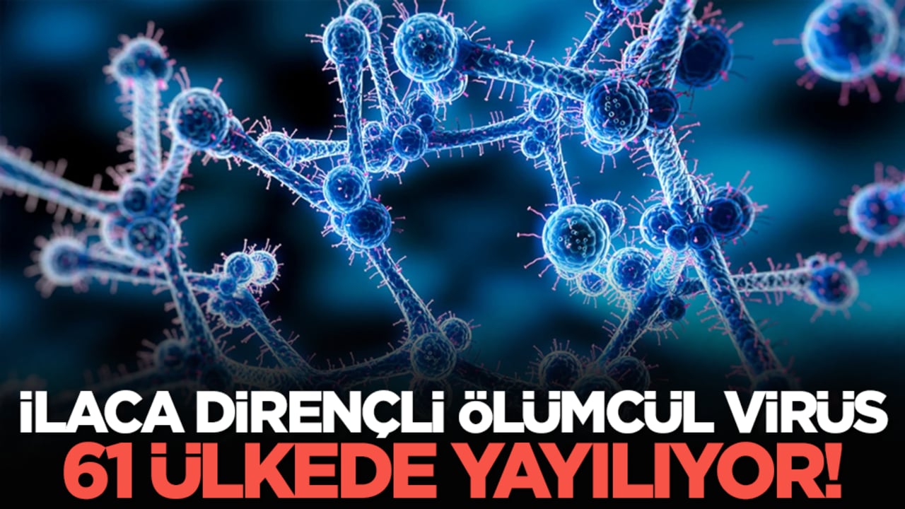 İlaca dirençli ölümcül virüs 61 ülkede yayılıyor!