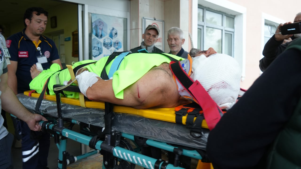 İmama ayı saldırdı