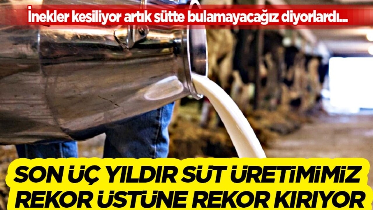 İnekler kesiliyor artık sütte bulamayacağız diyorlardı... Son üç yıldır süt üretimimiz rekor üstüne rekor kırıyor