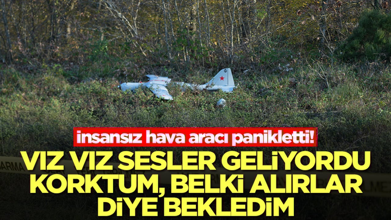 İnsansız hava aracı panikletti: Vız vız sesler geliyordu, korktum, belki alırlar diye bekledim