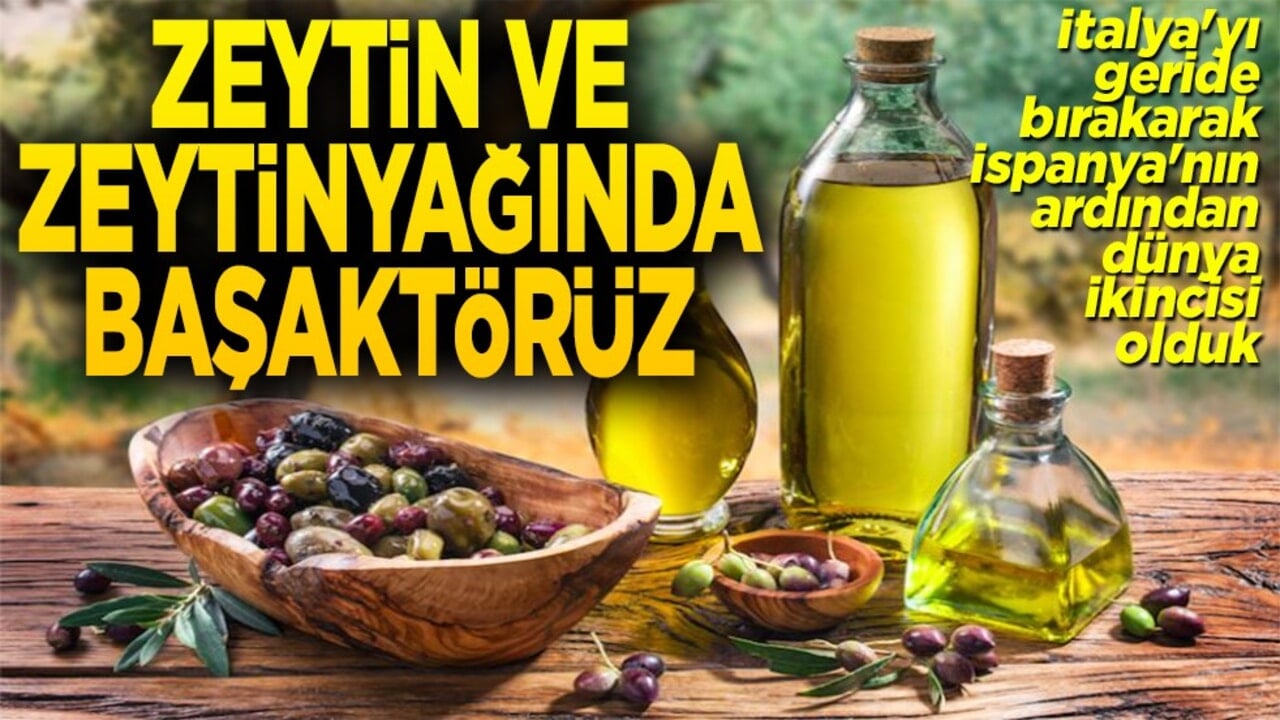 İspanya'nın ardından dünya ikincisi olduk Zeytin ve zeytinyağında başaktörüz