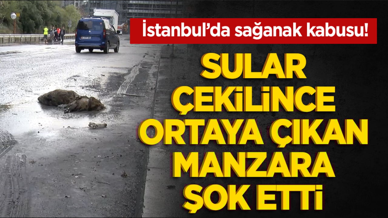 İstanbul’da sağanak kabusu! Sular çekilince ortaya çıkan manzara şok etti Selde boğuldu