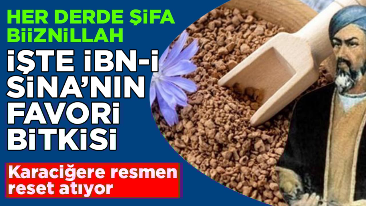 İşte İbn-i Sina’nın favori bitkisi: Karaciğere resmen reset atıyor! Her derde şifa biiznillah