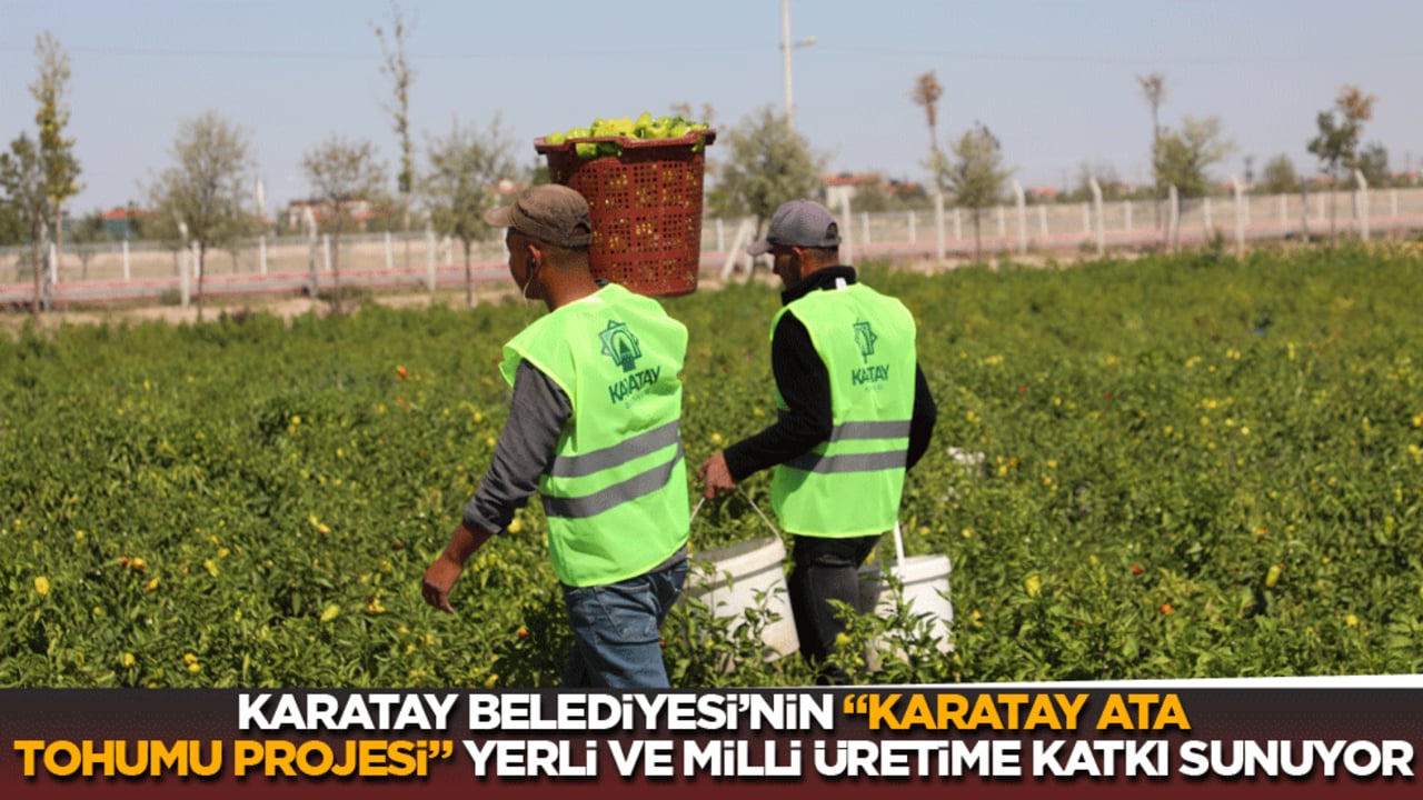 Karatay Belediyesi'nin 'Karatay Ata Tohumu Projesi' yerli ve milli üretime katkı sunuyor