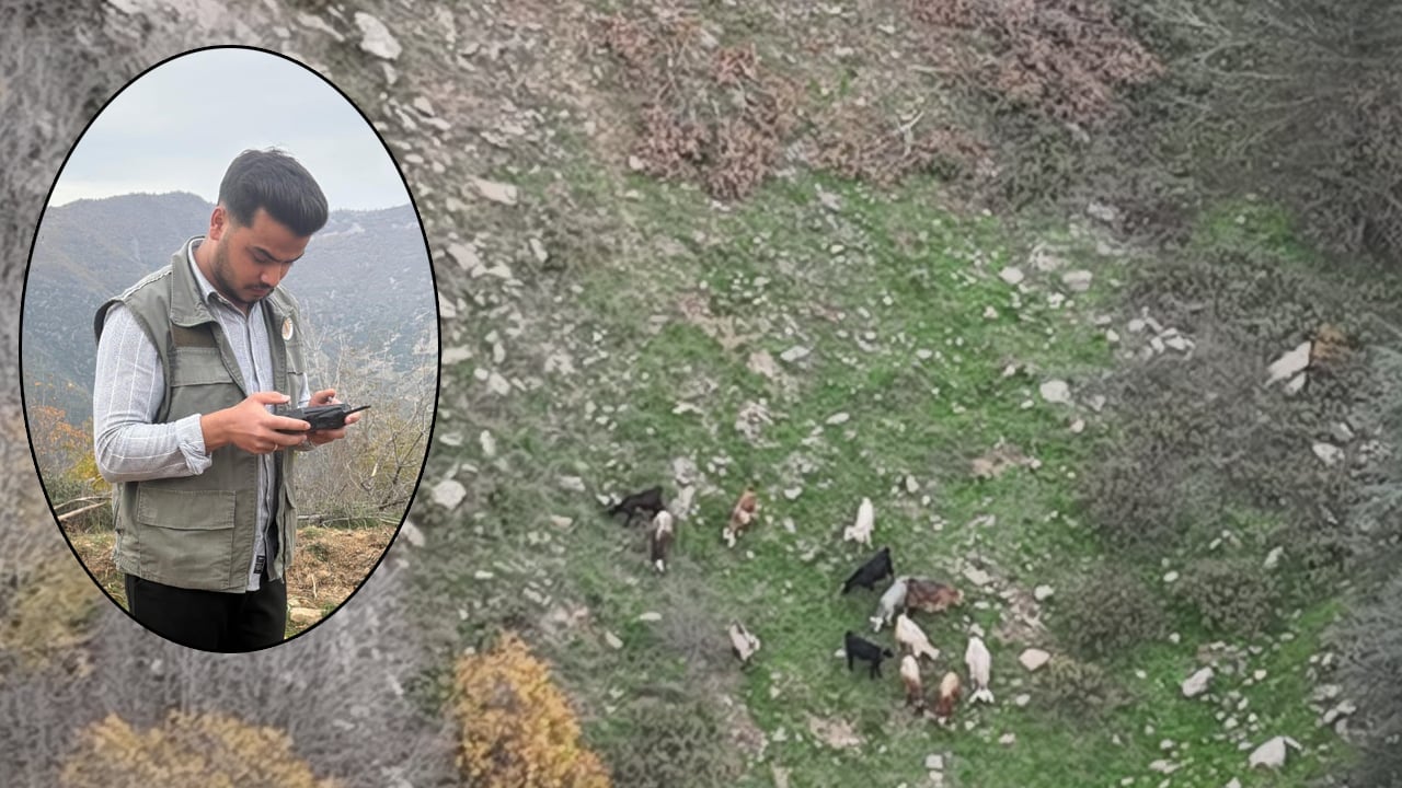 Keçileri kaçıran çobanın imdadına ormancılar yetişti! Kaçan keçiler dronla bulundu