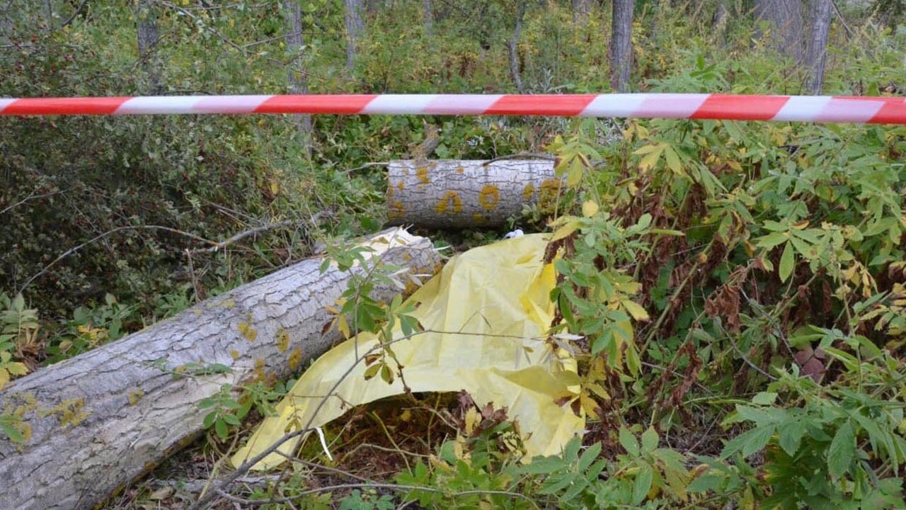 Kestiği ağacın altında kalan kişi öldü