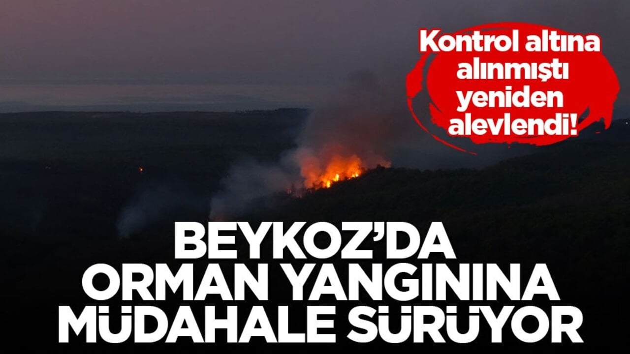 Kontrol altına alınmıştı, yeniden alevlendi! Beykoz’da orman yangınına müdahale sürüyor